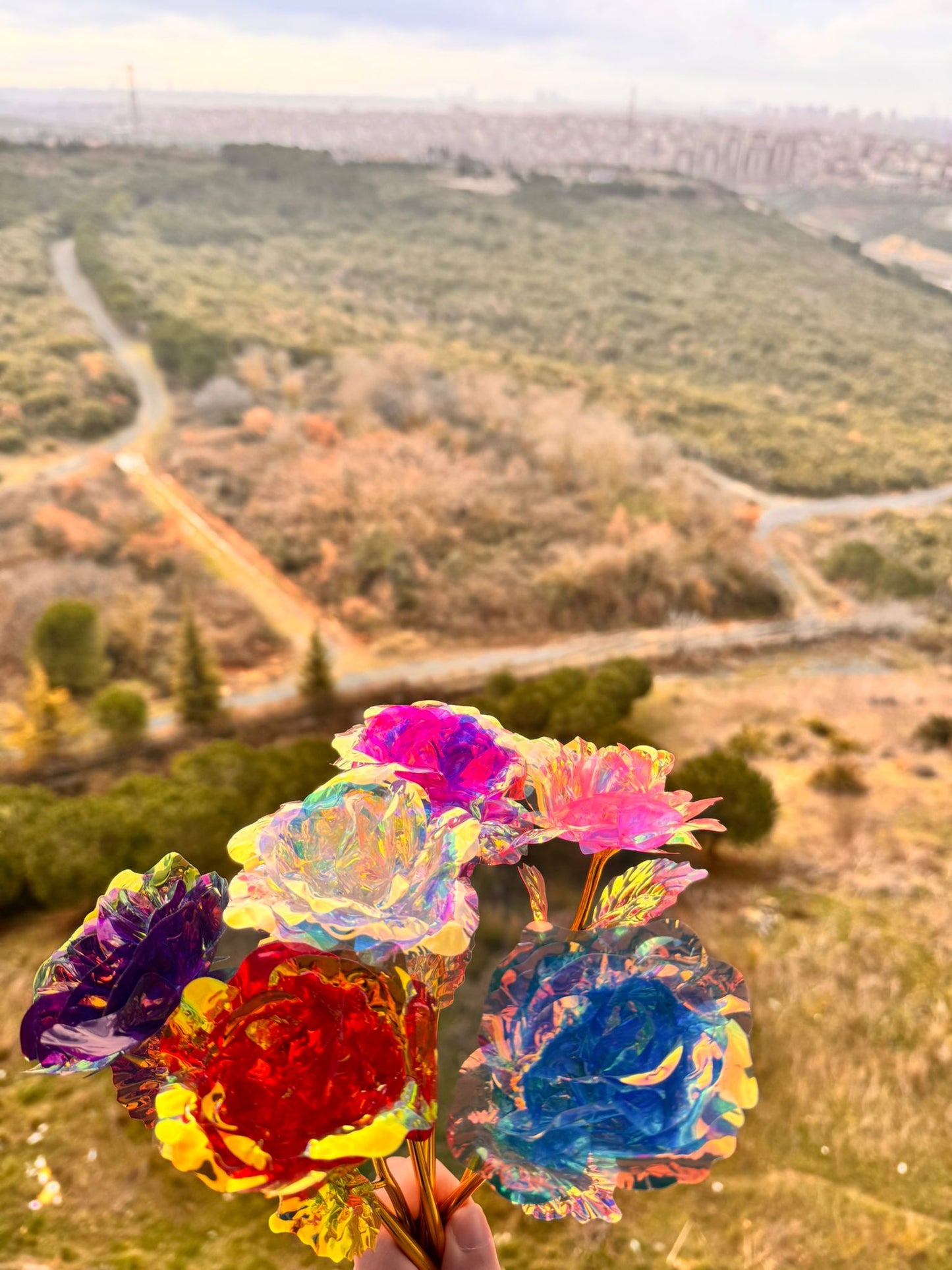 Sonsuzluk Gülü 3 Adet